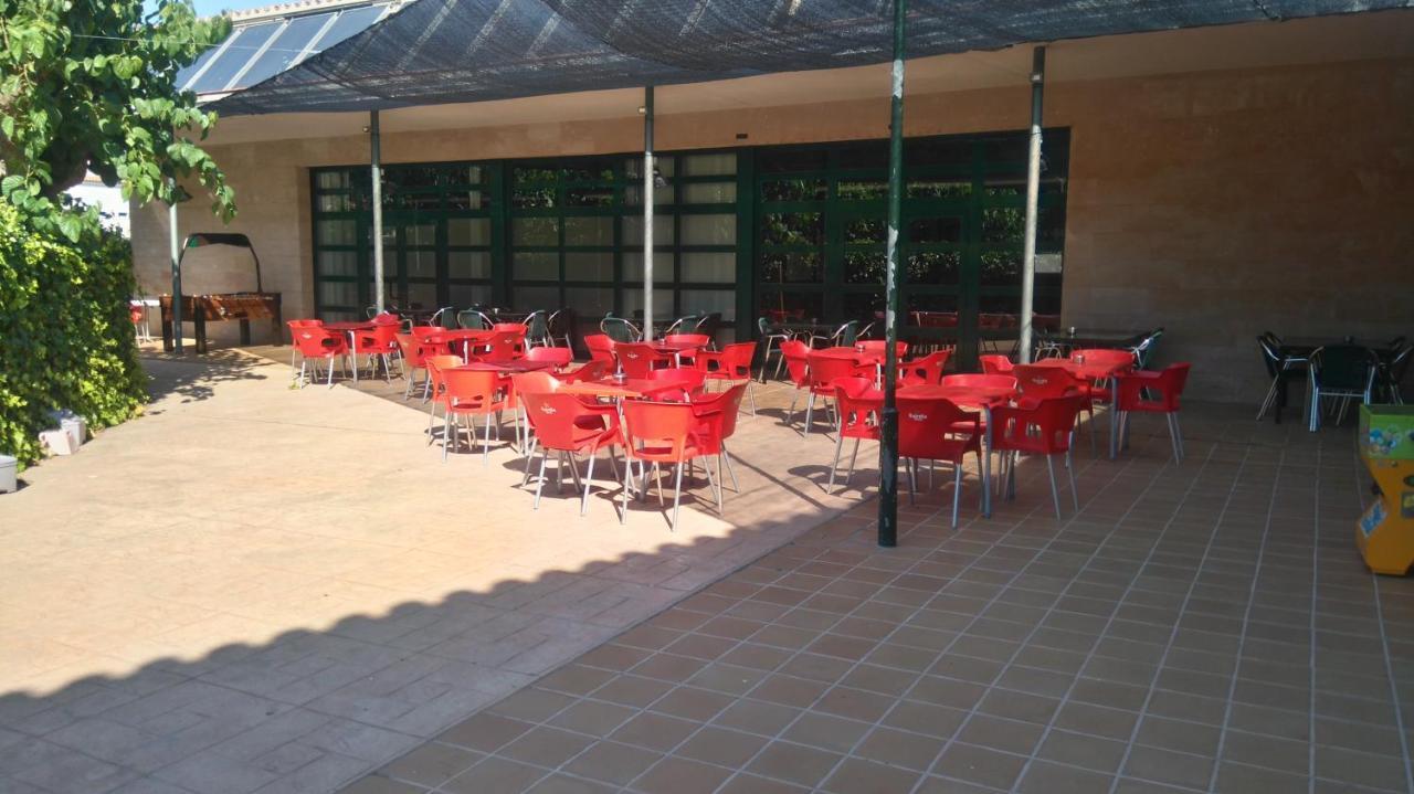 Municipal Campsite Tivissa